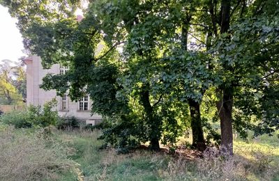 Herregård til salg Osieczna, województwo wielkopolskie, Park
