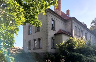 Herregård til salg Osieczna, województwo wielkopolskie, Sidevisning
