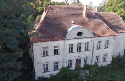Herregård til salg Osieczna, województwo wielkopolskie, Dronefoto