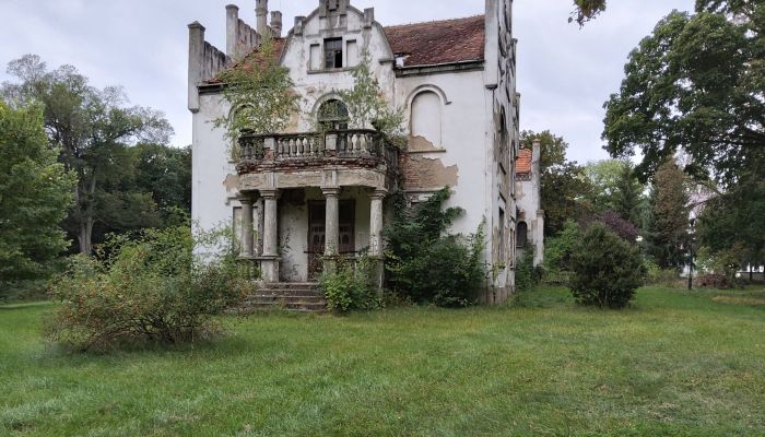 Herrenhaus/Gutshaus Brodnica 4