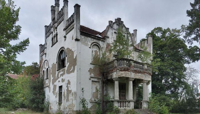 Herrenhaus/Gutshaus kaufen Brodnica, Großpolen,  Polen