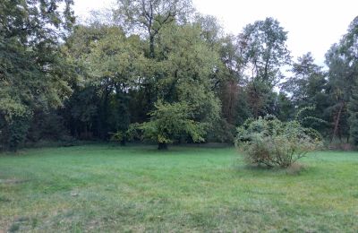 Herregård til salg Brodnica, województwo wielkopolskie, Park
