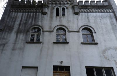 Herregård til salg Brodnica, województwo wielkopolskie, Sidevisning