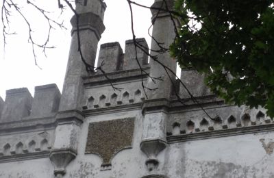 Herregård til salg Brodnica, województwo wielkopolskie, Detaljer