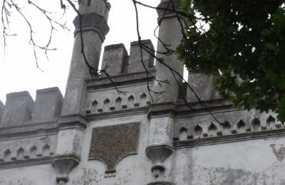 Herrenhaus/Gutshaus kaufen Brodnica, Großpolen:  Details