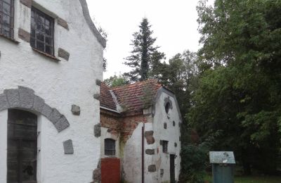 Herregård til salg Brodnica, województwo wielkopolskie, Billede 7/12
