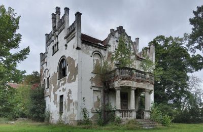 Herregård til salgs Brodnica, województwo wielkopolskie:  Terrasse