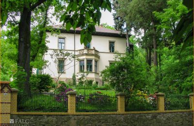 Historische Villa kaufen 04736 Waldheim, Sachsen:  Aussenansicht