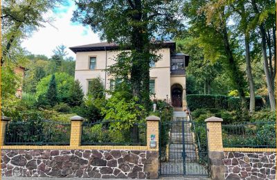 Historische Villa kaufen 04736 Waldheim, Sachsen:  Aussenansicht