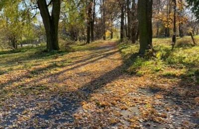 Herregård til salg Mzurów, województwo śląskie,, Billede 5/5
