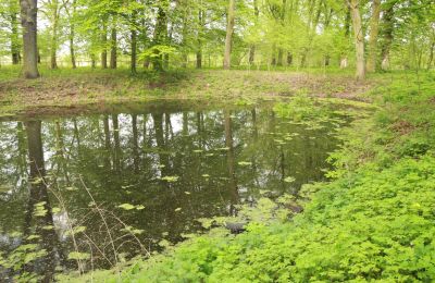 Slot til salg Stołeczna, Pałac w Stołecznej 20, województwo zachodniopomorskie, Dam/sø