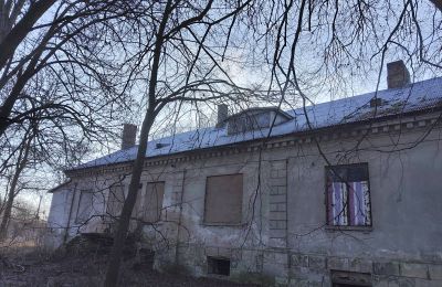 Herregård til salg Smaszew, Dwór w Smaszewie, województwo wielkopolskie, Bagudvendt