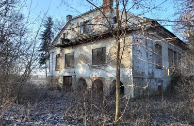 Herregård til salg Smaszew, Dwór w Smaszewie, województwo wielkopolskie, Sidevisning