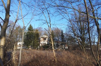 Herregård til salg Smaszew, Dwór w Smaszewie, województwo wielkopolskie, Ejendom