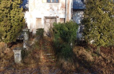 Herregård til salg Smaszew, Dwór w Smaszewie, województwo wielkopolskie, Indgang