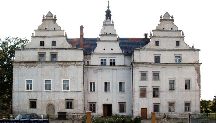 Slot til salg Wilków Wielki, województwo dolnośląskie,  Polen