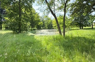 Herrgård till salu Gierłachowo, Dwór w Gierłachowie 18a, województwo wielkopolskie, Bild 34/34