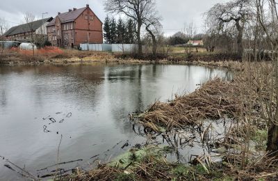 Schloss kaufen Bronów, Pałac w Bronowie, Niederschlesien:  Teich/See