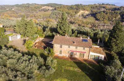 Hus købe Certaldo, Toscana:  RIF2763-lang25#RIF 2763 gesamtes Anwesen