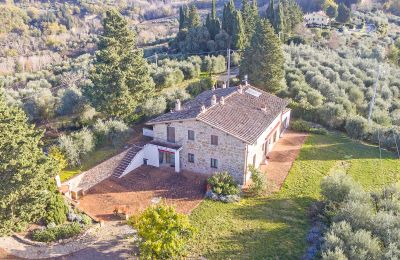Hus købe Certaldo, Toscana:  RIF2763-kurz#RIF 2763 Vogelperspektive