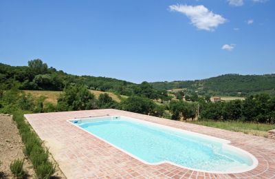 Landhaus kaufen Montescudaio, Toskana:  RIF 2185 Pool