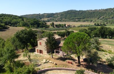 Landhaus kaufen Montescudaio, Toskana:  RIF 2185 Blick auf Anwesen