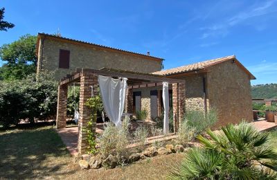 Landhaus kaufen Montescudaio, Toskana:  RIF 2185 Rustico und Terrasse
