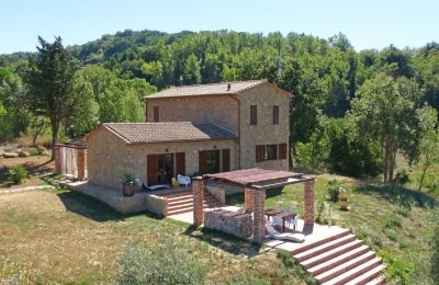 Landhaus kaufen Montescudaio, Toskana:  RIF 2185 Rustico und Treppe