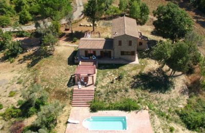 Landhaus kaufen Montescudaio, Toskana:  RIF 2185 Blick von oben