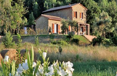 Landhaus kaufen Montescudaio, Toskana:  RIF 2185 Ansicht