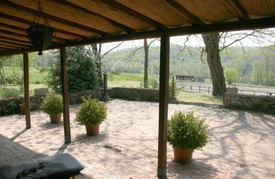 Landhaus kaufen Arezzo, Toskana:  RIF2262-lang13#RIF 2262 Vorplatz