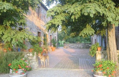 Lantgård till salu Arezzo, Toscana:  RIF2262-lang6#RIF 2262 Blick auf den Hof zwischen Haupthaus und Nebengebäude