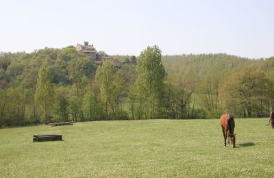 Landhaus kaufen Arezzo, Toskana:  RIF2262-lang22#RIF 2262 Pferdekoppeln mit Ausblick