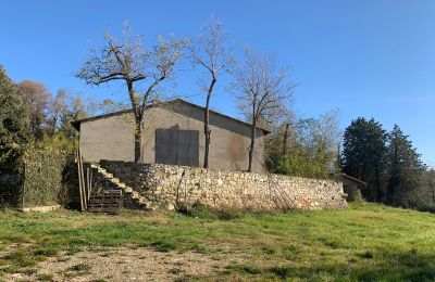 Landhus købe Castellina in Chianti, Toscana:  RIF 2767 Scheune