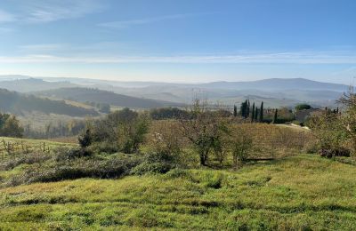 Landhaus kaufen Castellina in Chianti, Toskana:  RIF 2767 Ausblick