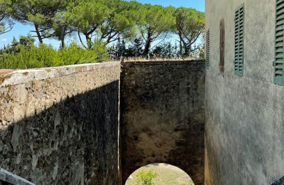 Historische Villa kaufen Siena, Toskana:  RIF 2937 Außentreppe