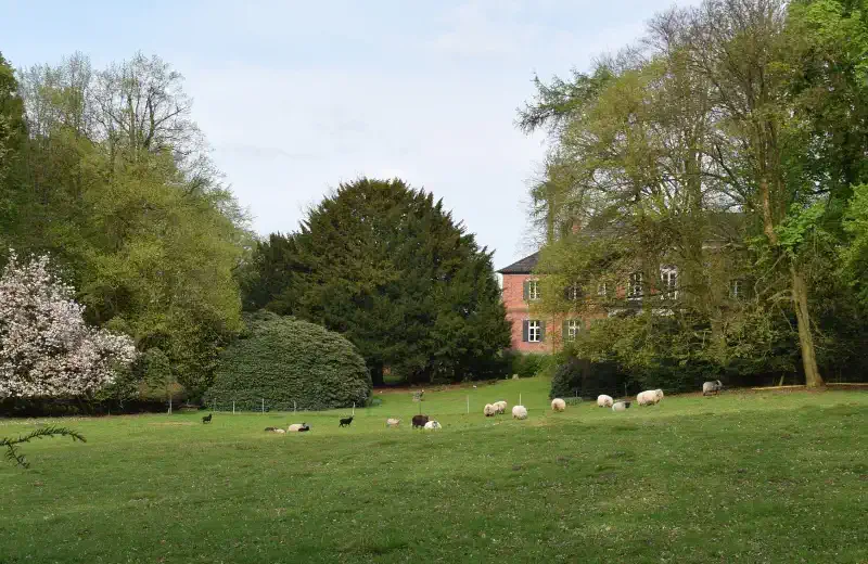 Perfekte Landidylle vor den Toren Hamburgs