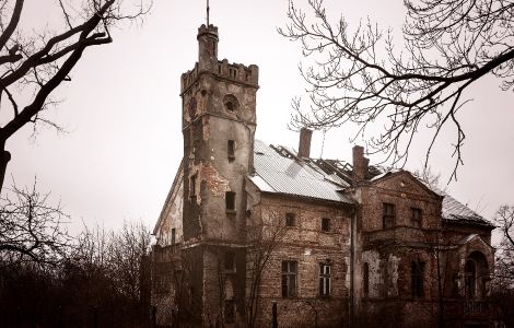 Nowy Śleszów, Dwor - Gutshaus Neu Schliesa (Ruine)