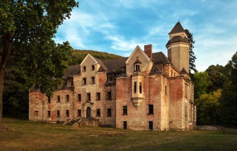  - Schloss Kauffung (Wojcieszów)