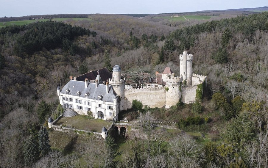 Slott til salgs Frankrike