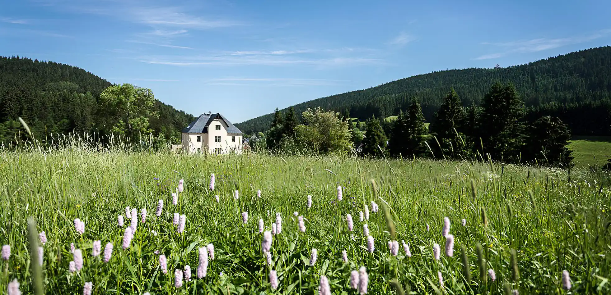 Forsthaus kaufen Alleinlage Erzgebirge