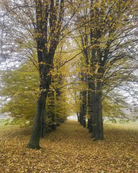 Historischer Park Immobilienangebote April 2026