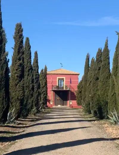 Ejendomstilbud i Spania Castilla-La Mancha