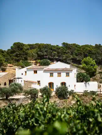 Eksklusiv ejendom med hotel, vin- og olivenolieproduktion i Catalonien, Masllorenç, Catalonien